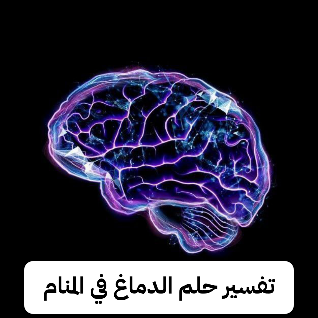 تفسير حلم الدماغ في المنام لابن سيرين – رمز رؤية الرأس في الحلم