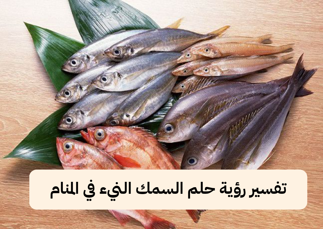 تفسير رؤية حلم السمك النيء في المنام .. إتساع في الرزق ومال حرام