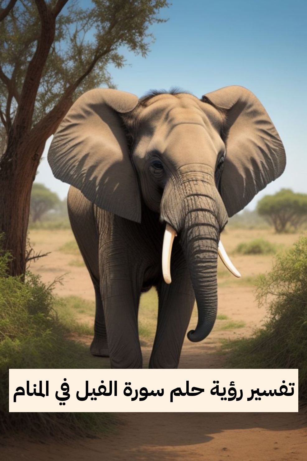 تفسير رؤية حلم سورة الفيل في المنام .. الإنتصار علي الأعداء ورزق قادم