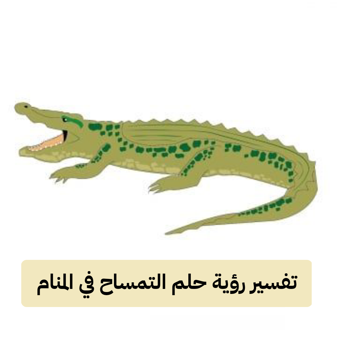 تفسير رؤية حلم التمساح في المنام .. رزق ونجاه