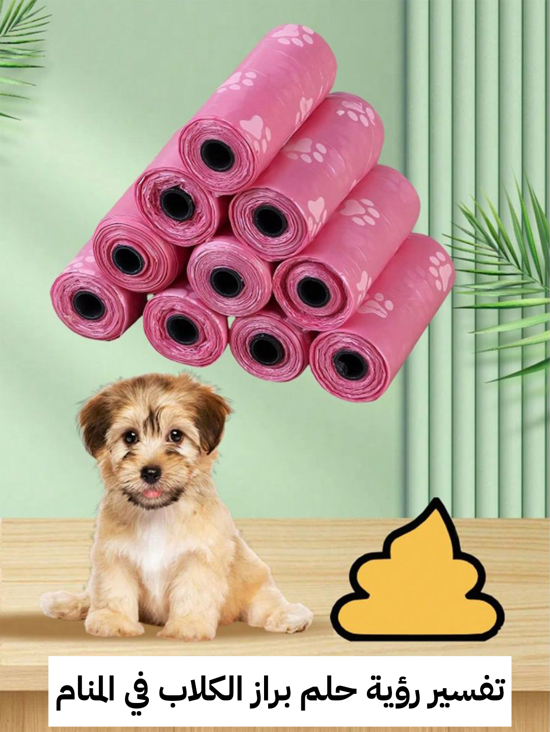 تفسير رؤية حلم براز الكلاب في المنام .. زواج قريب وحدوث مشكلة