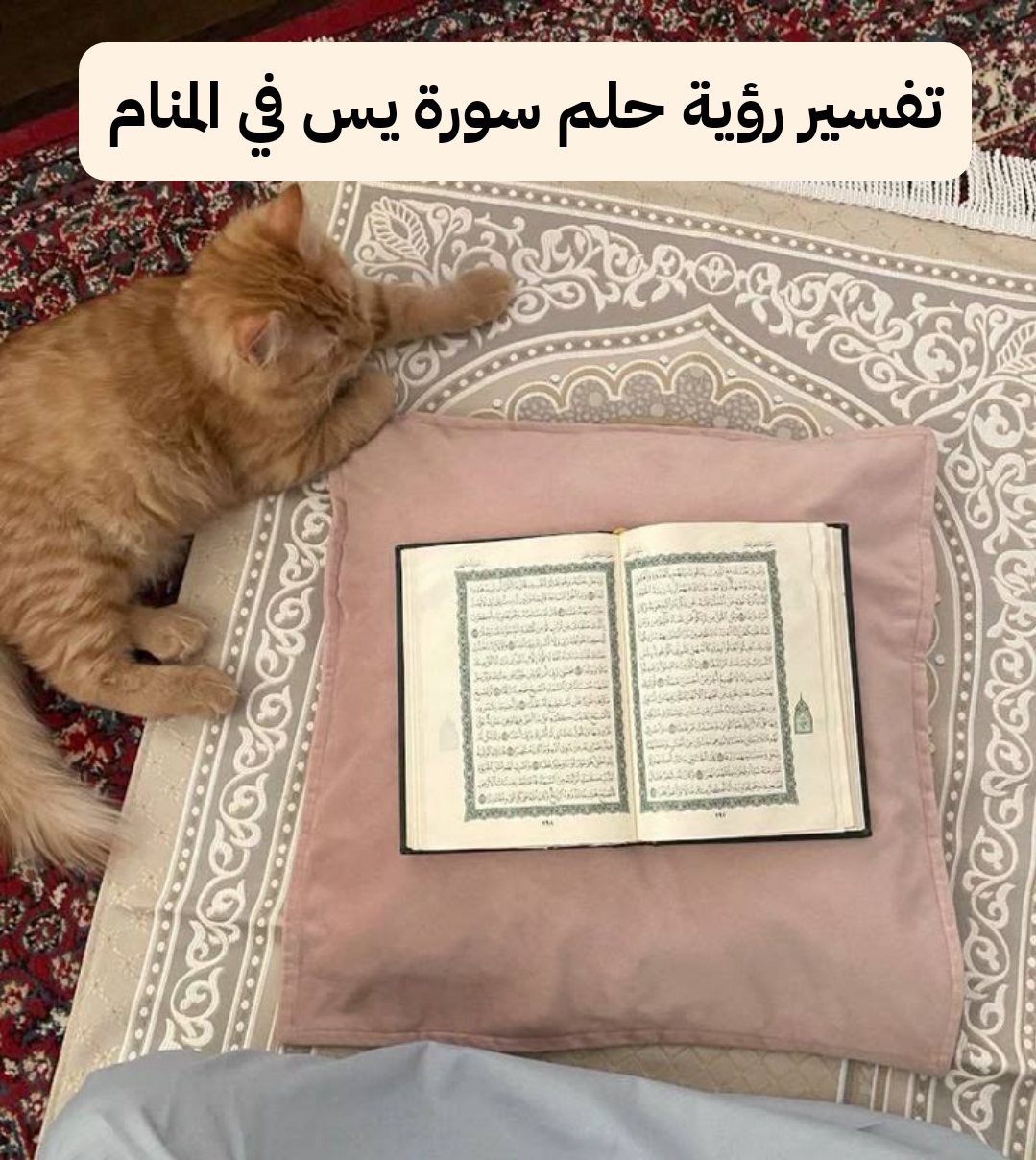 تفسير رؤية حلم سورة يس في المنام .. حياة زوجية مستقرة وإتساع الرزق