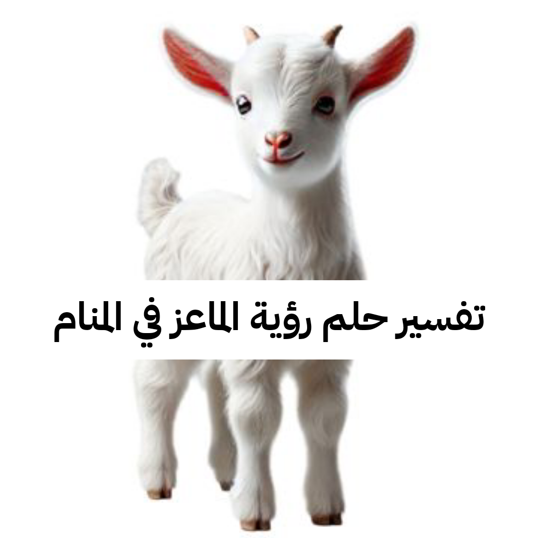تفسير حلم رؤية الماعز في المنام لابن سيرين