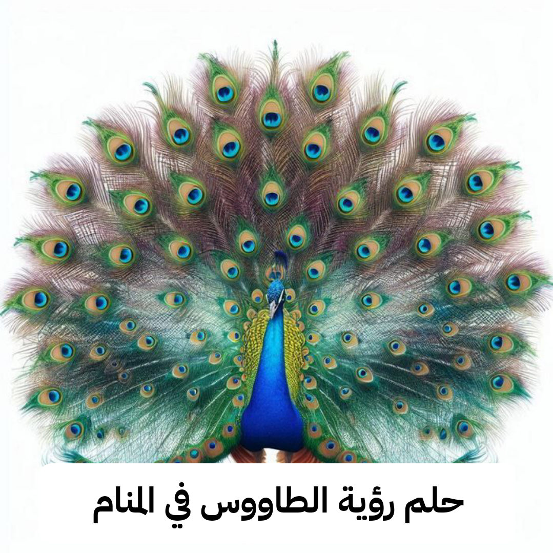 تفسير حلم رؤية الطاووس في المنام للرجل وللمرأه
