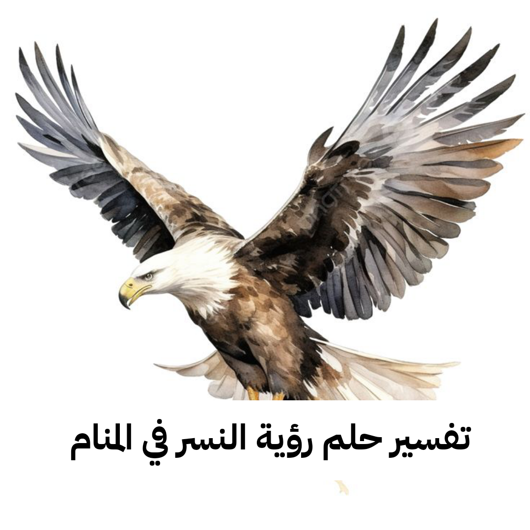 تفسير حلم رؤية النسر في المنام لابن سيرين