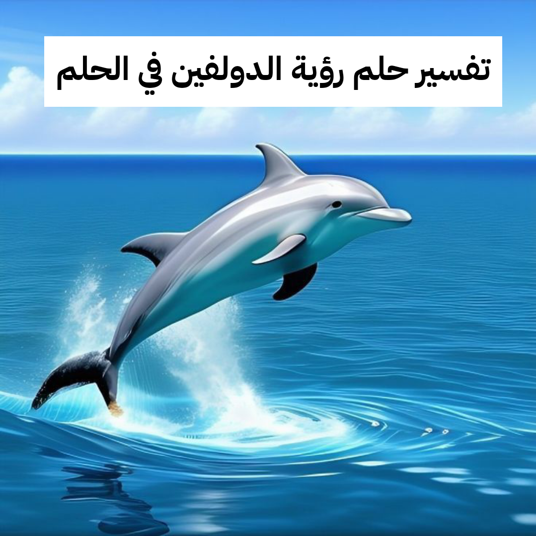 تفسير حلم رؤية الدولفين في الحلم للعزباء وللمتزوجة