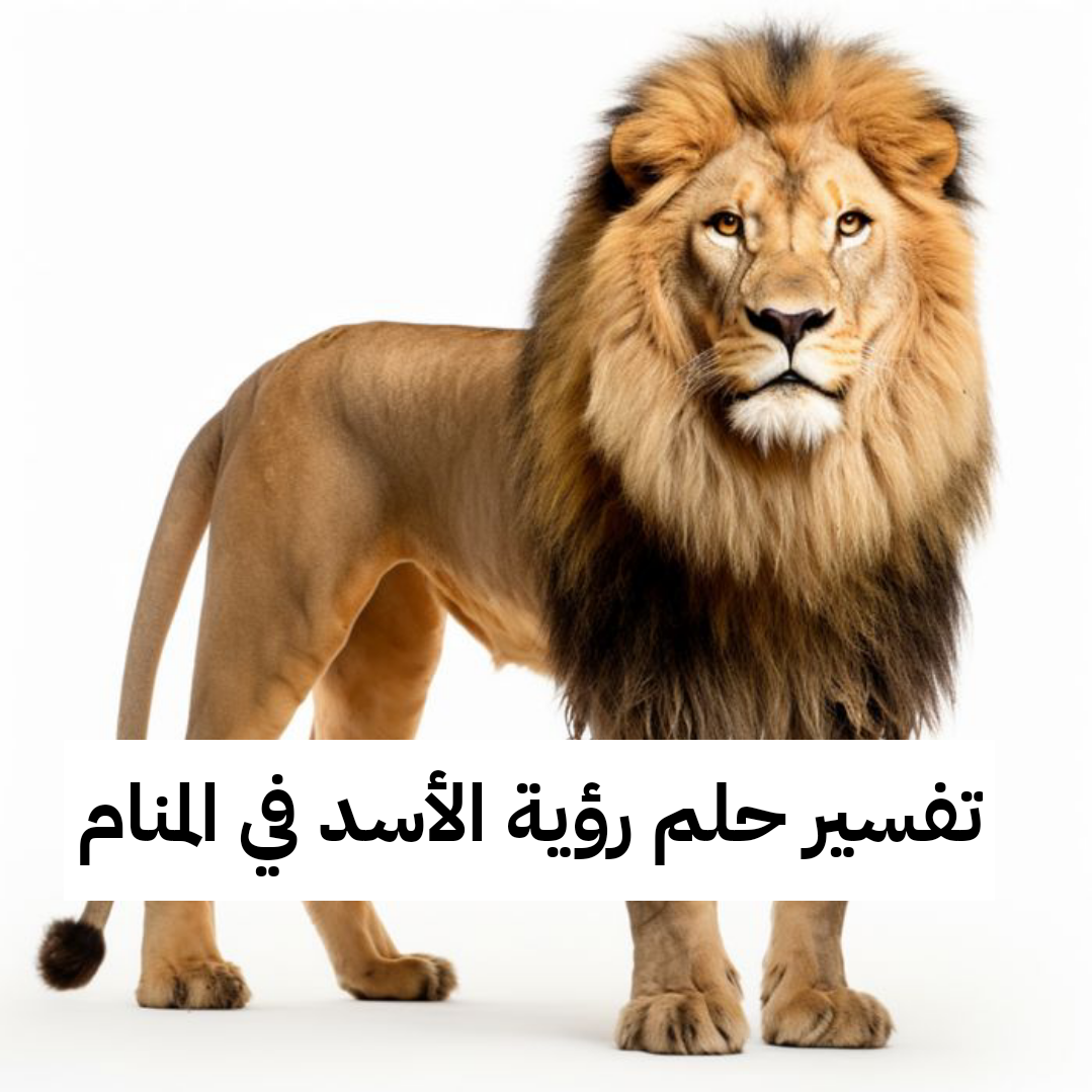 تفسير حلم رؤية الأسد في المنام