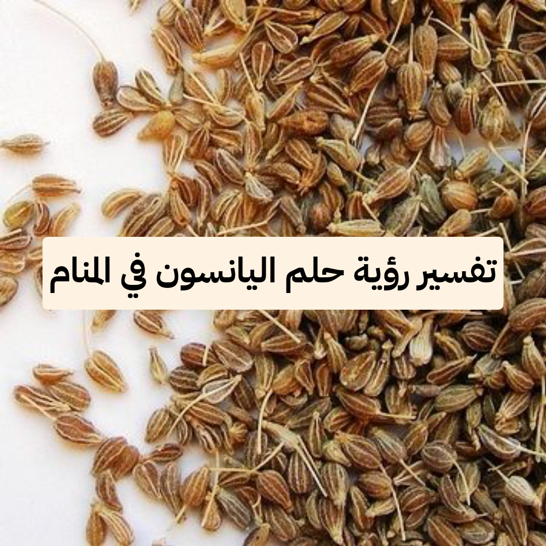 تفسير رؤية حلم اليانسون في المنام لابن سيرين