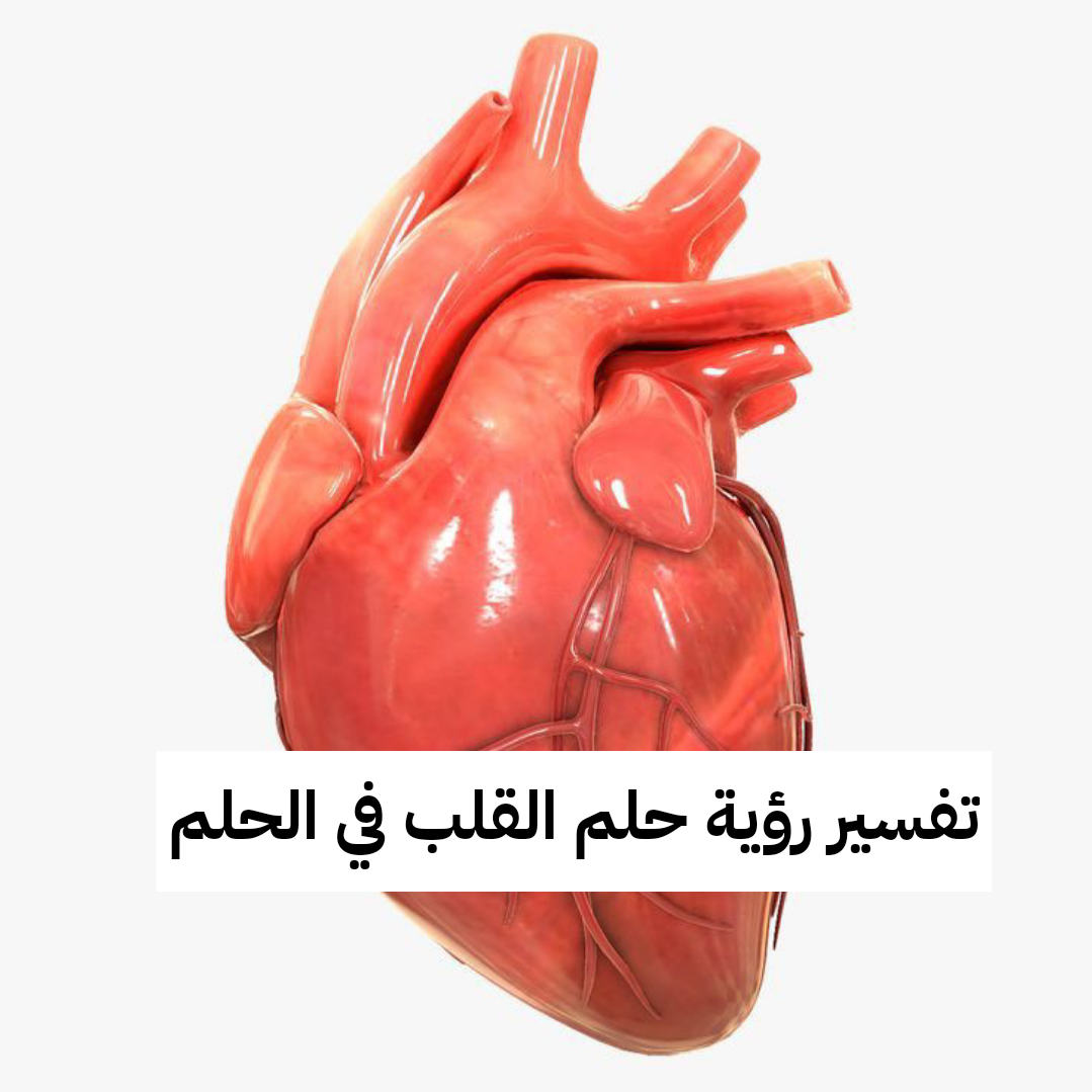 تفسير رؤية حلم القلب في الحلم