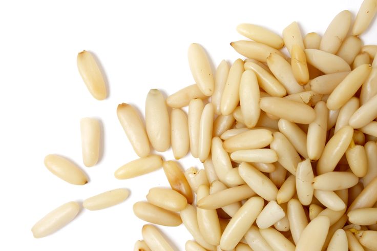 تفسير حلم شجرة الصنوبر