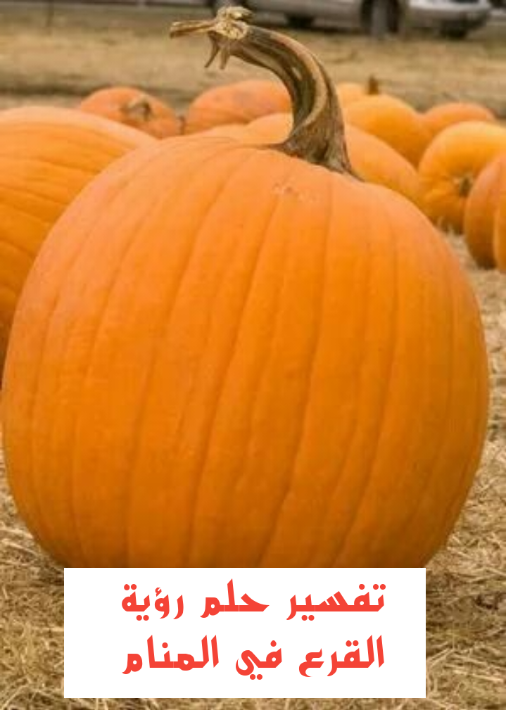 تفسير رؤية حلم القرع في المنام