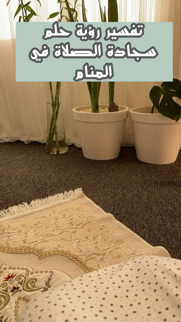 تفسير رؤية حلم سجادة الصلاة في المنام