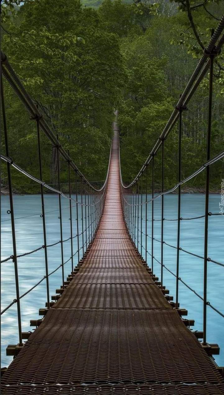 تفسير حلم الجسر في المنام