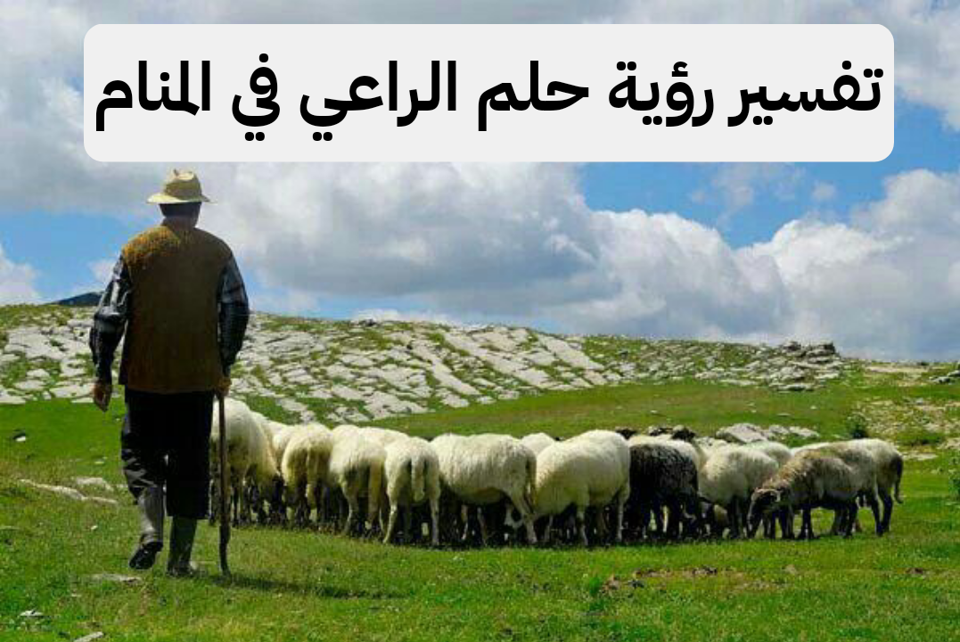 تفسير رؤية حلم الراعي في المنام .. متاعب وإتساع في الرزق