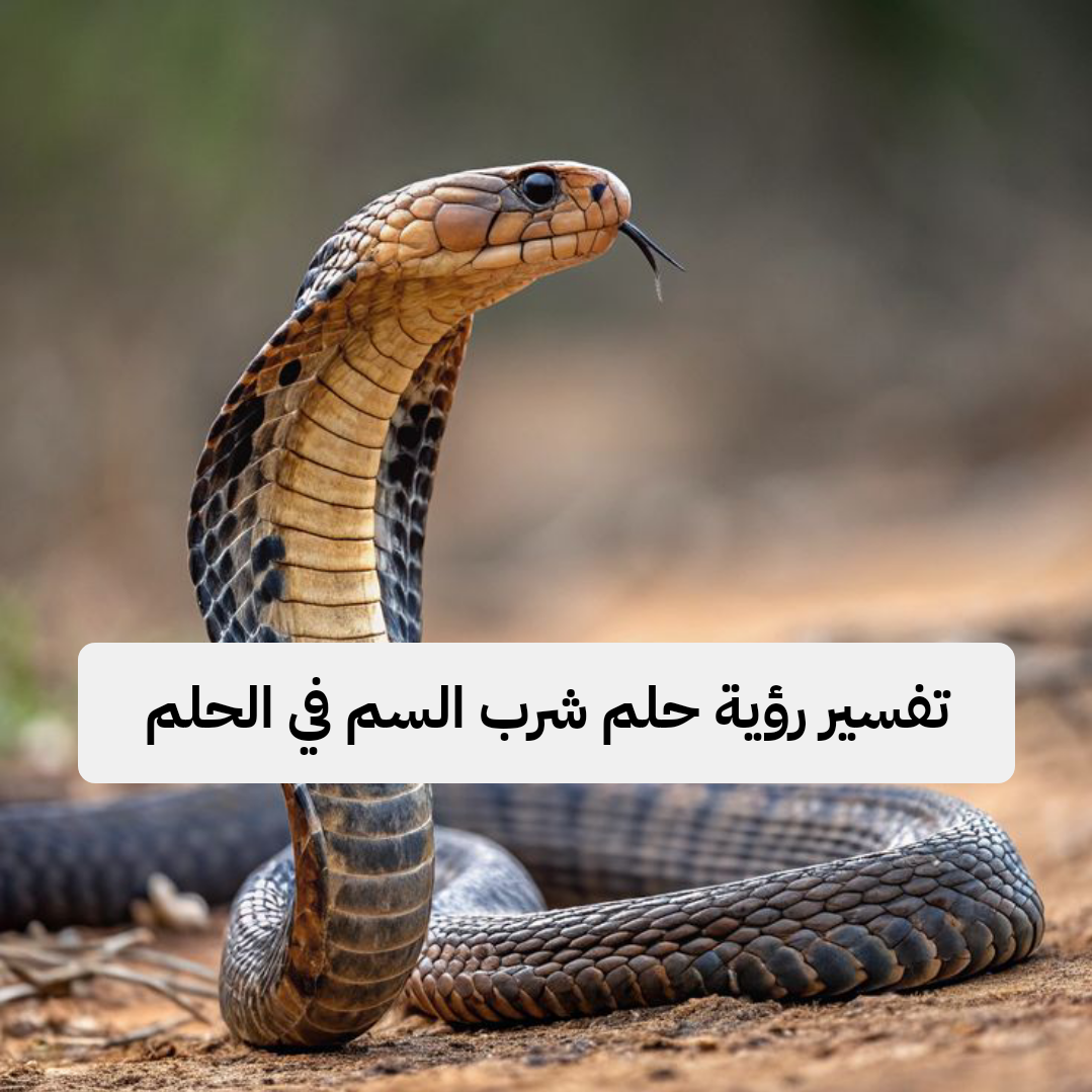 تفسير رؤية حلم شرب السم في الحلم