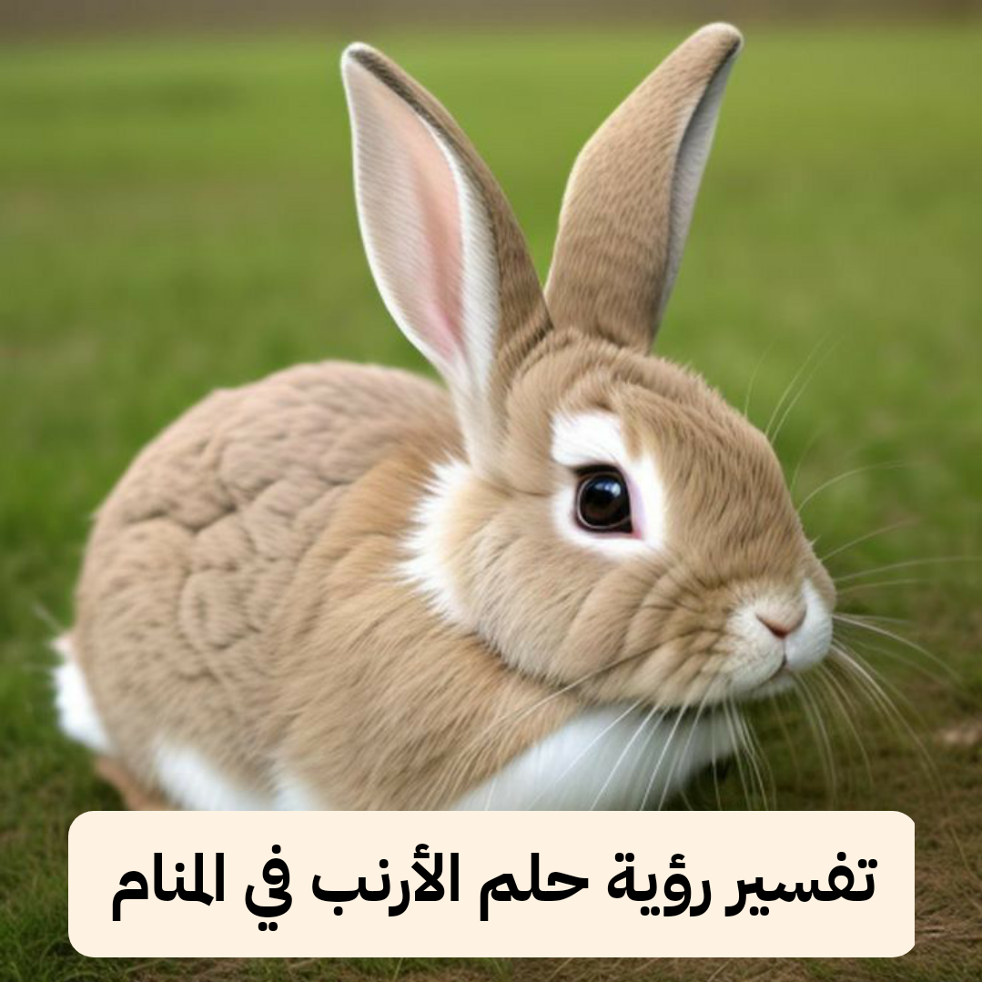 تفسير رؤية حلم الأرنب في المنام لابن سيرين