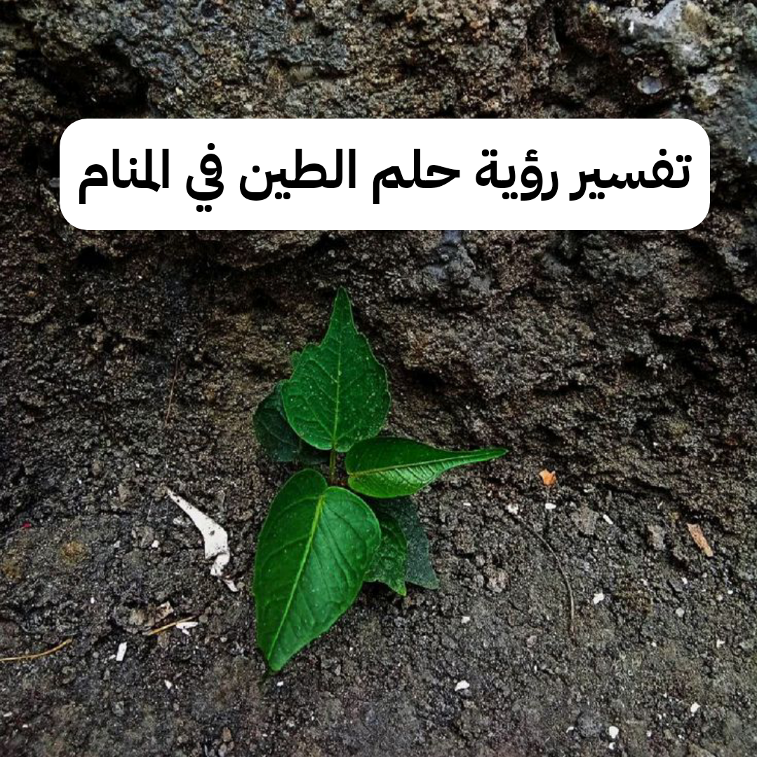 تفسير رؤية حلم الطين في المنام .. قوة إرادة وزواج