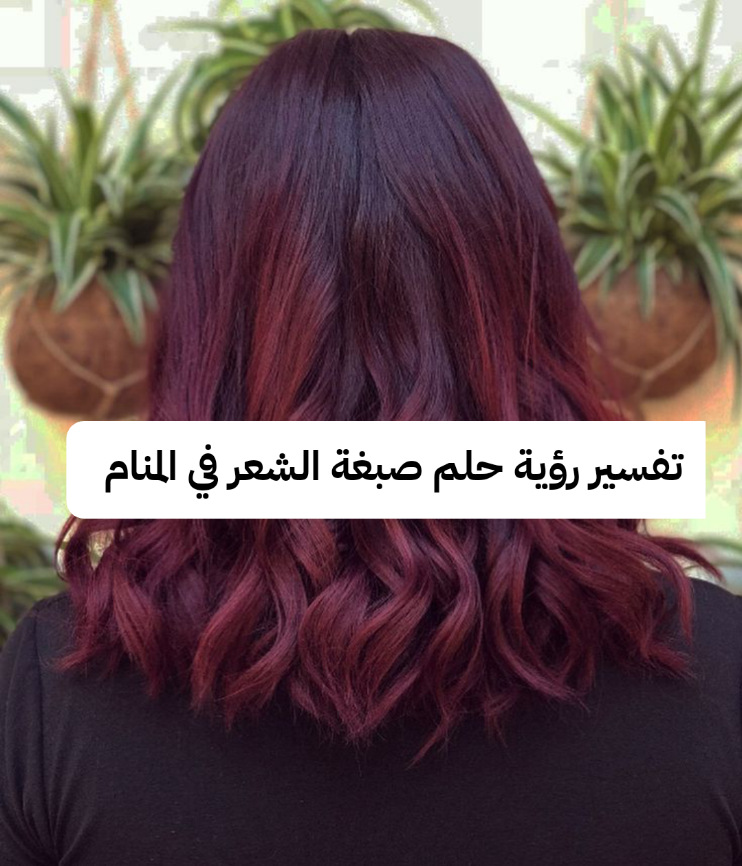 تفسير رؤية حلم صبغة الشعر في المنام .. ارتباط قريب وحسد