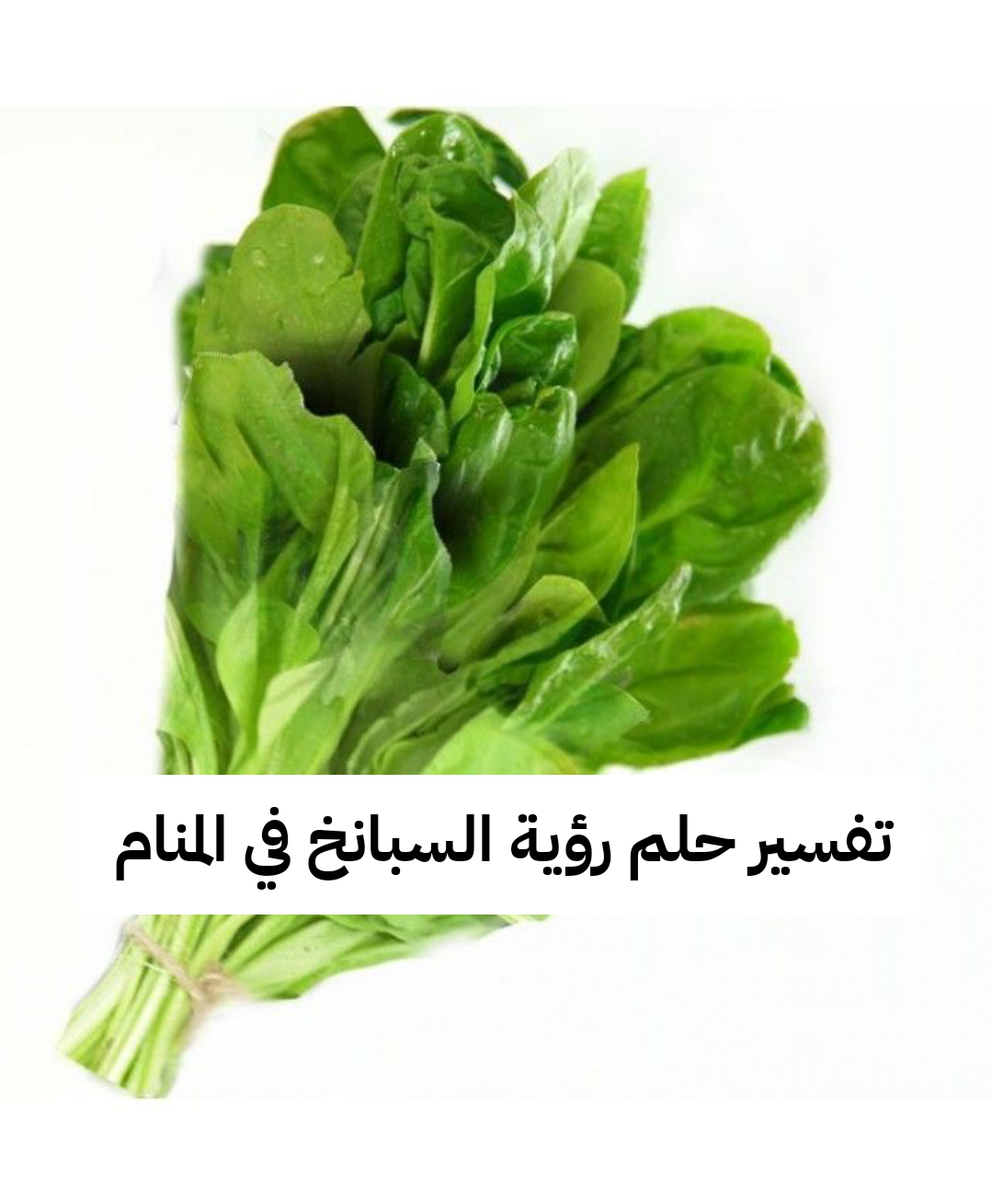 تفسير حلم رؤية السبانخ في المنام للرجل والمرأه