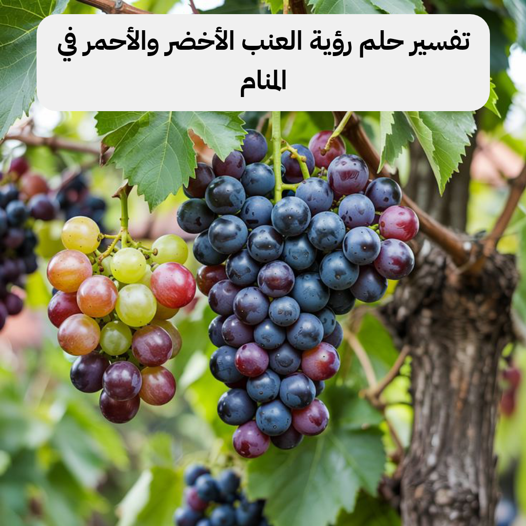 تفسير حلم رؤية العنب الأخضر والأحمر في المنام