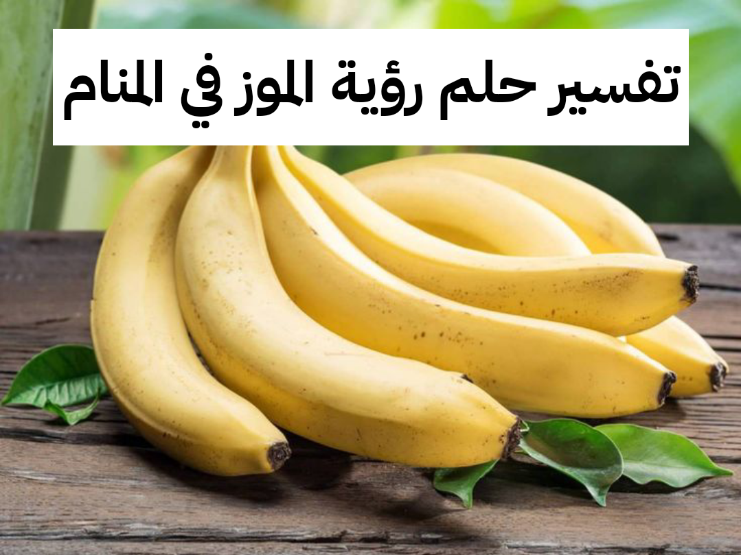 تفسير حلم رؤية الموز في المنام لابن سيرين