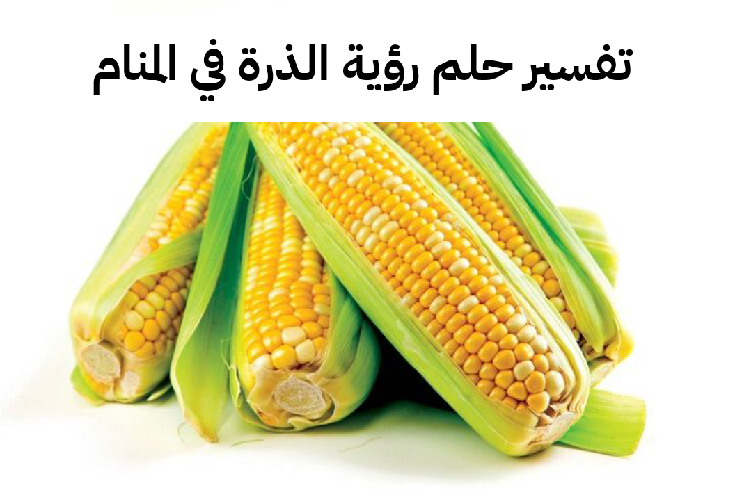 تفسير حلم رؤية الذرة في المنام للحامل والعزباء لابن سيرين