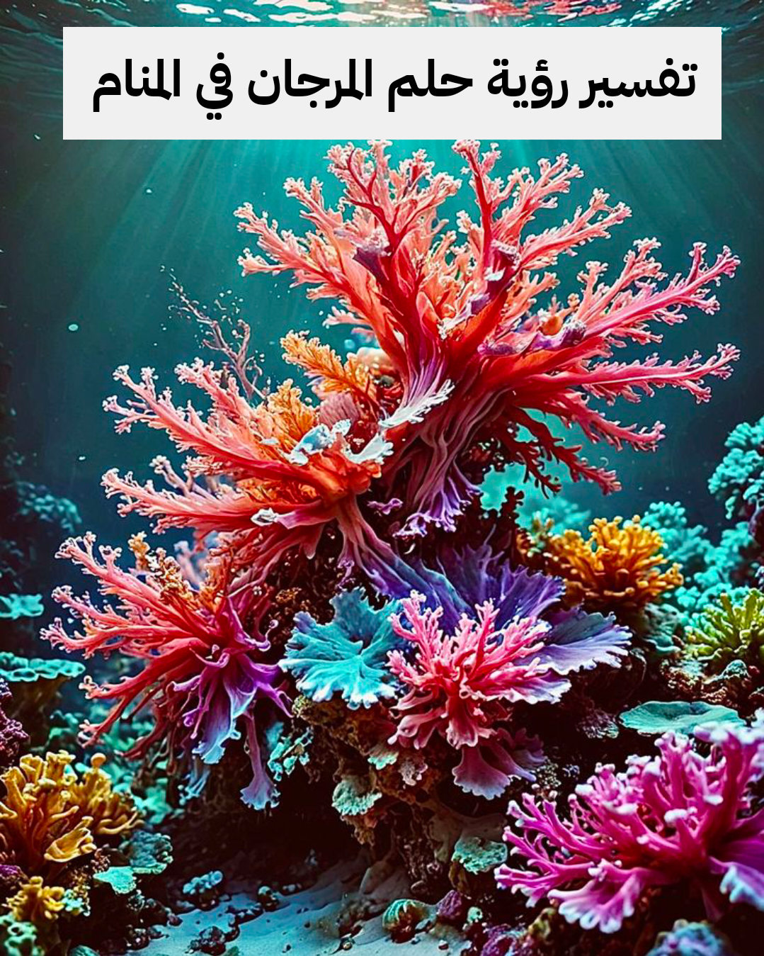 تفسير رؤية حلم المرجان في المنام .. أرباح قادمة وذرية صالحة