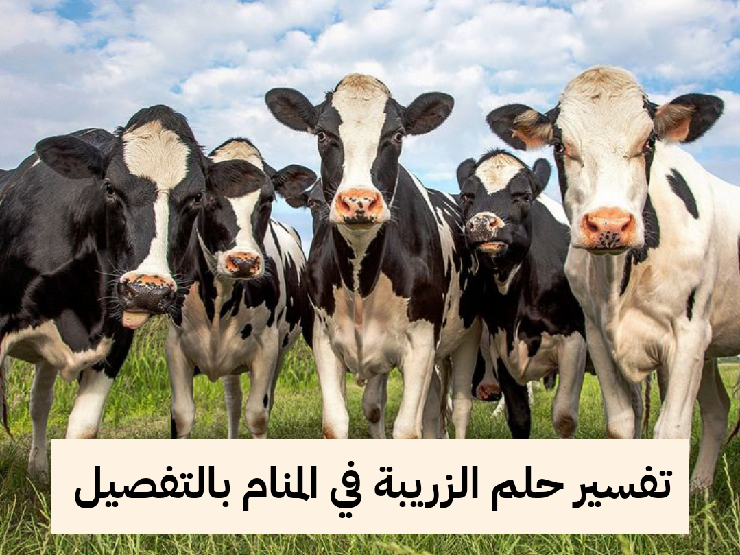 تفسير حلم الزريبة في المنام بالتفصيل