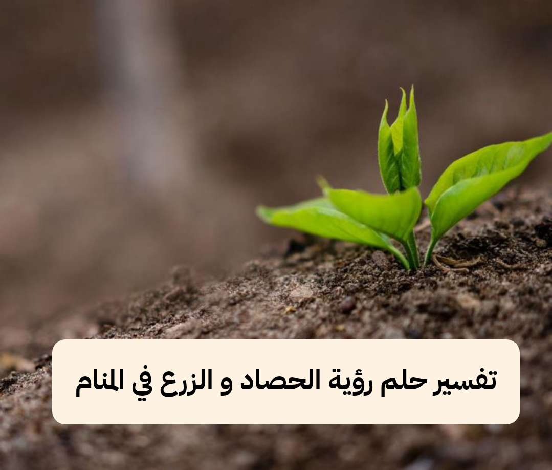 تفسير حلم رؤية الحصاد و الزرع في المنام