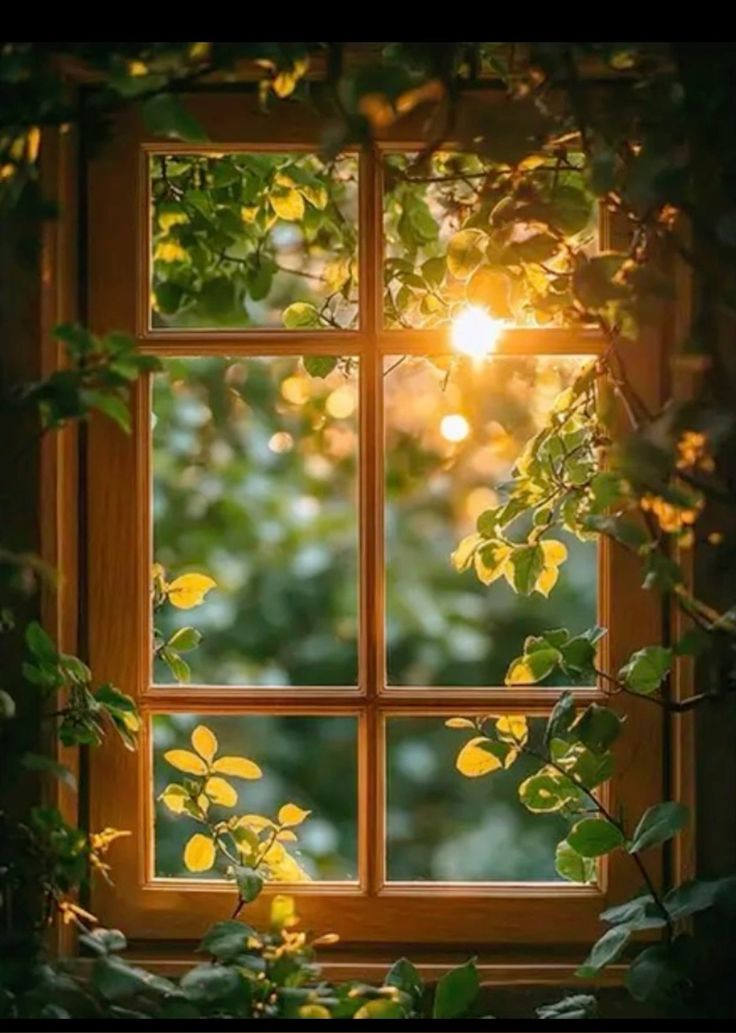 تفسير حلم النافذة في المنام