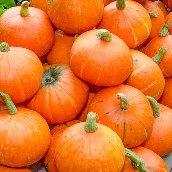 تفسير رؤية القرع في المنام