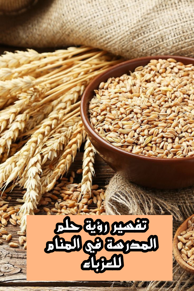 تفسير حلم رؤية القمح في المنام لابن سيرين والنابلسي