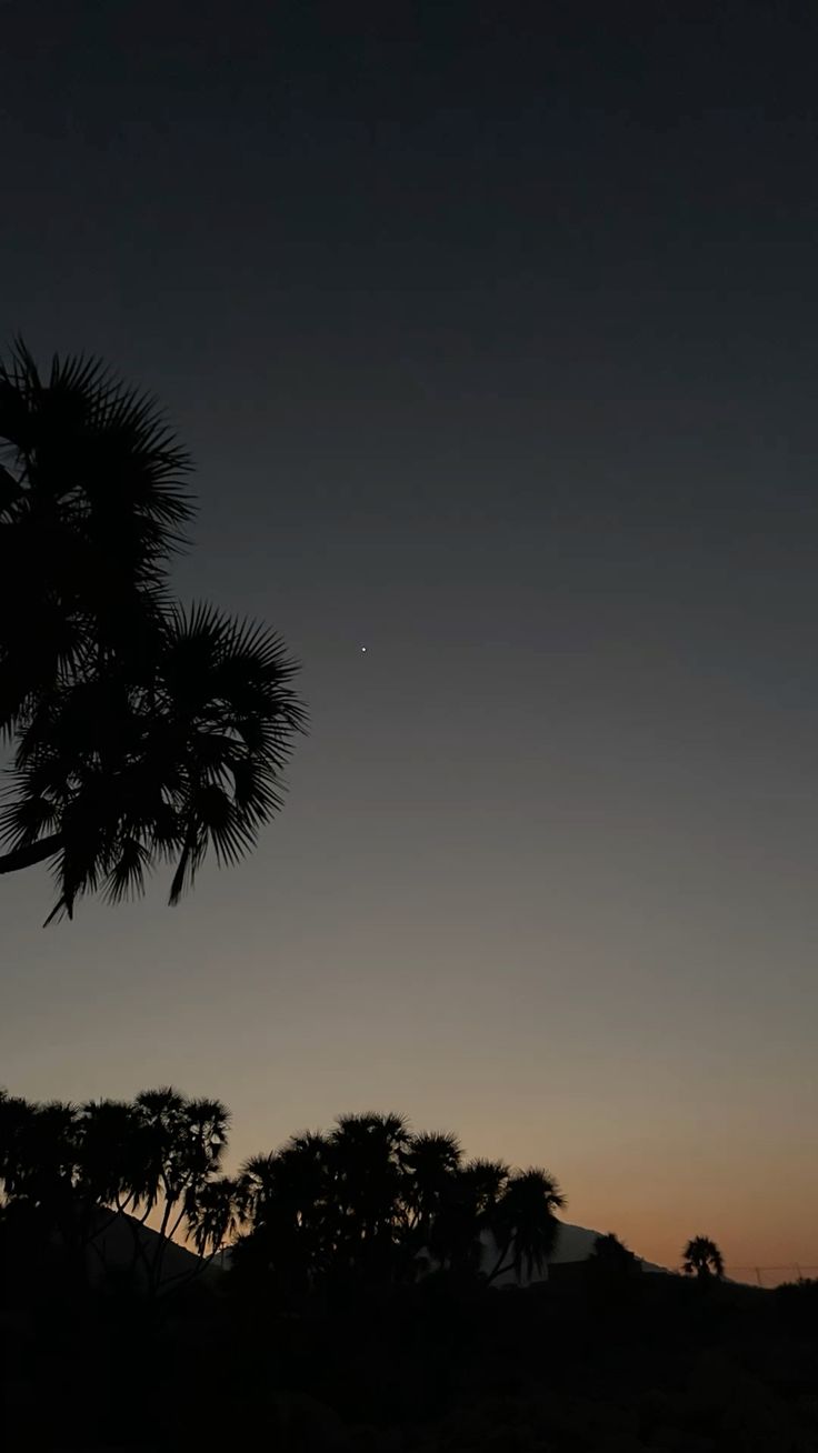 رمزية رؤية الفجر في المنام