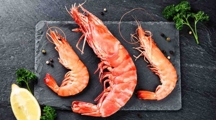 تفسير حلم الجمبري