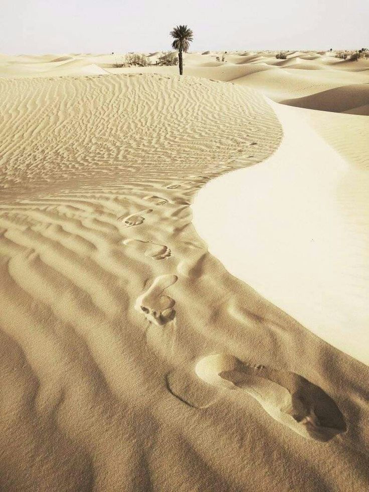 تفسير رؤية الرمل في المنام