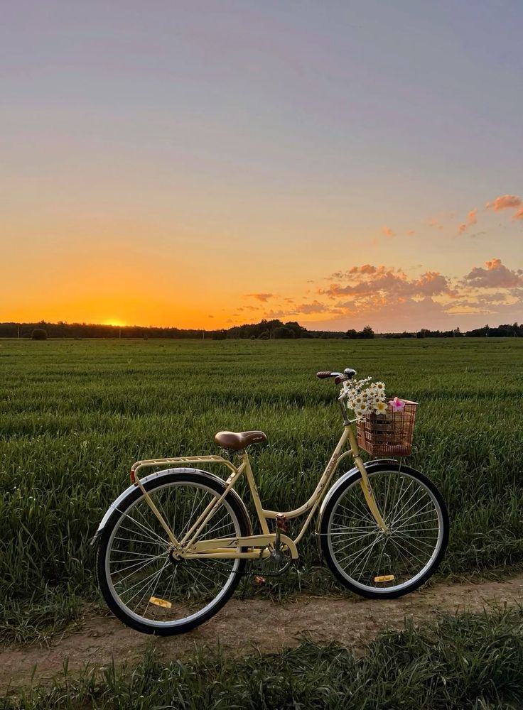 تفسير حلم الدراجة في المنام