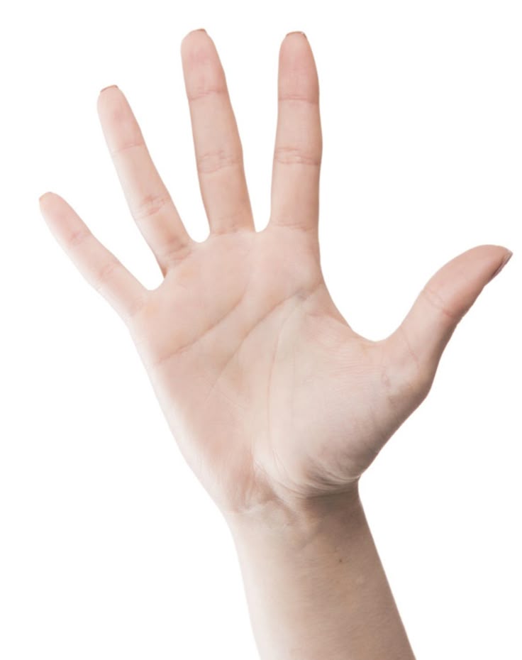 تفسير رؤية اليد والياسمين في المنام