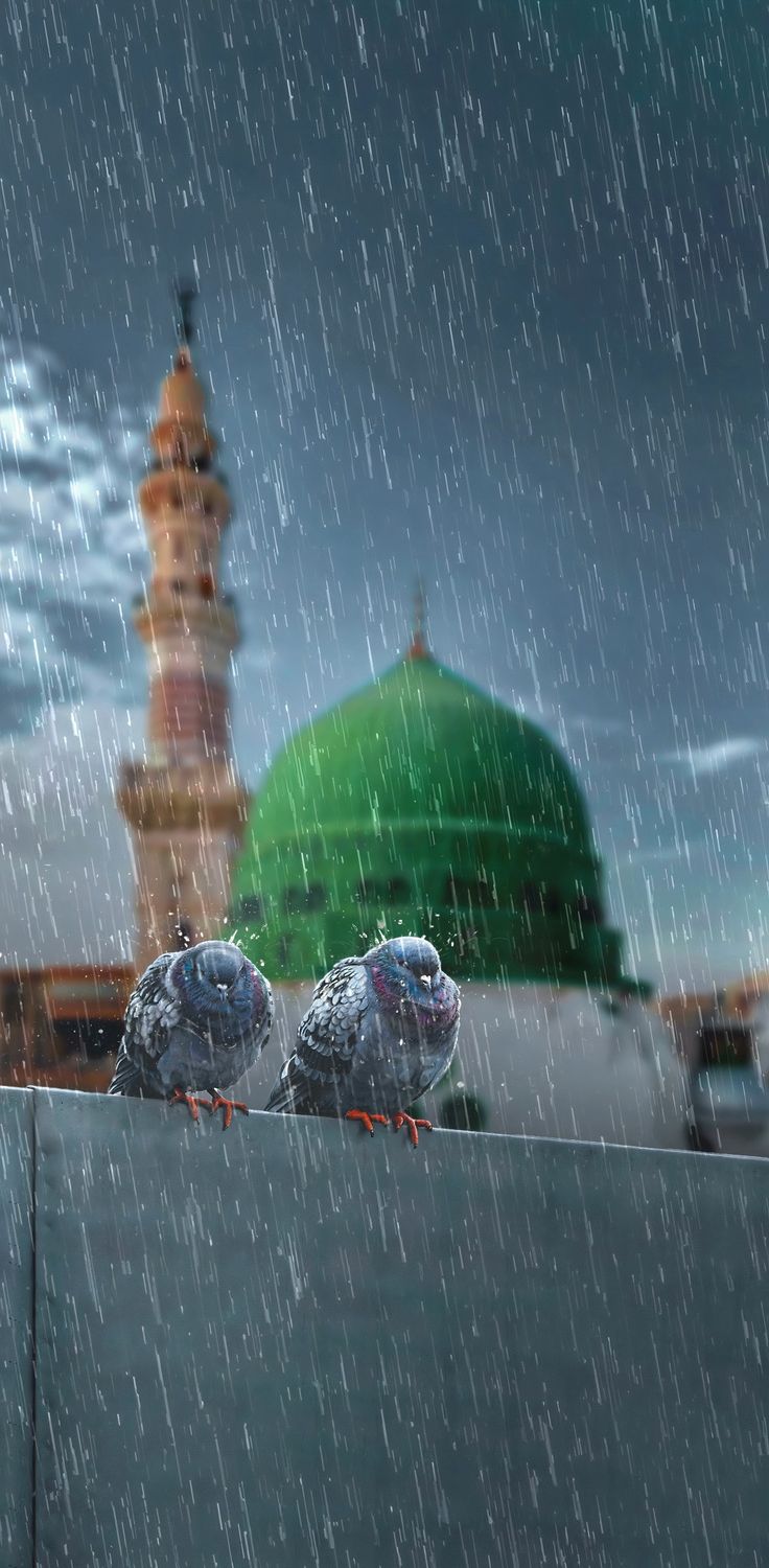 تفسير رؤية النبي محمد في المنام