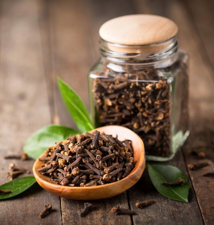 تفسير حلم القرنفل في المنام