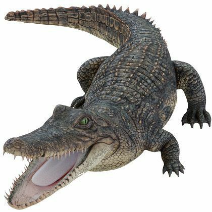 تفسير حلم التمساح