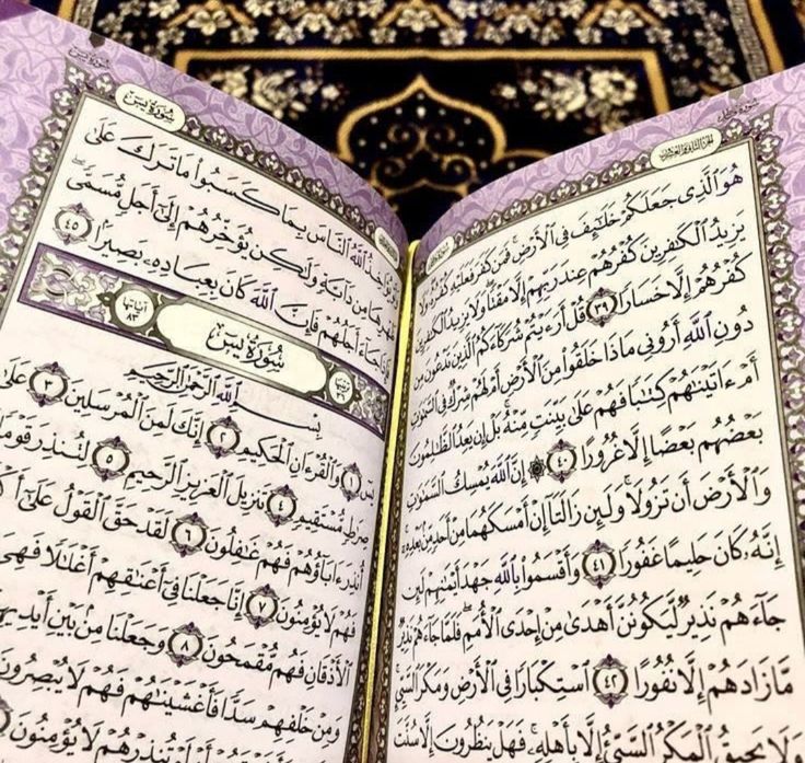 تفسير رؤية سورة يس في المنام