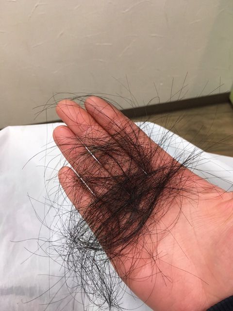 تفسير رؤية شعر الدبر في المنام