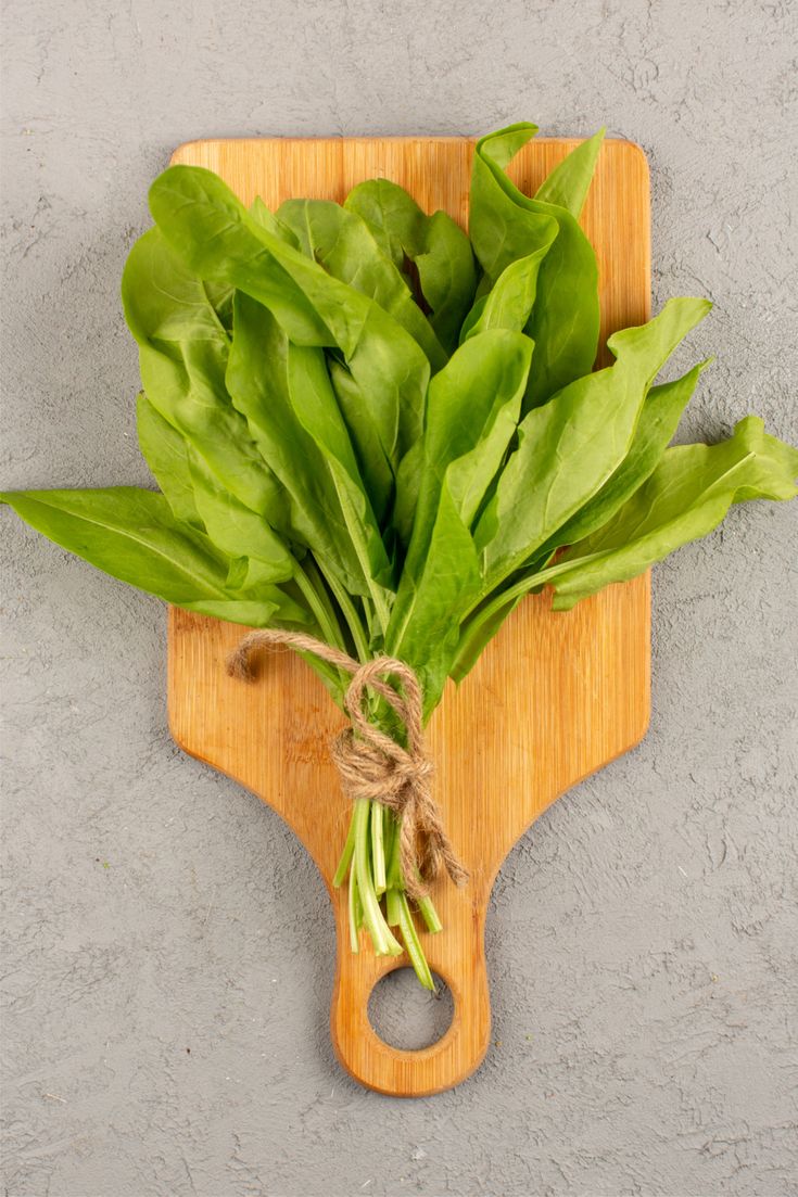 تفسير رؤية الجرجير في المنام