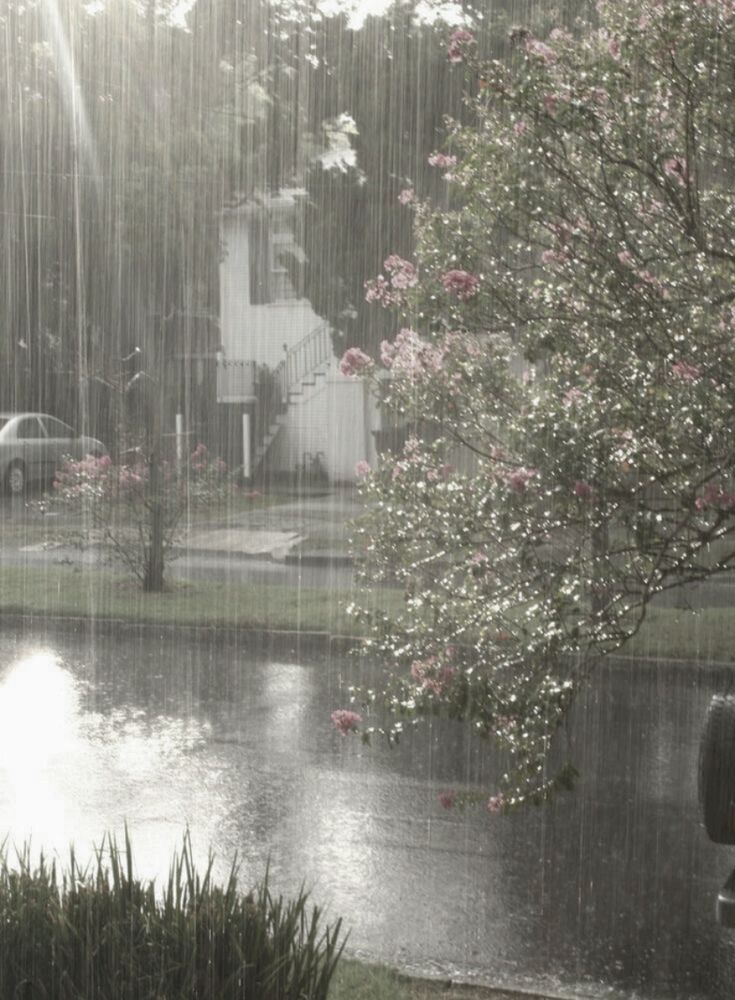 تفسير رؤية المطر في المنام