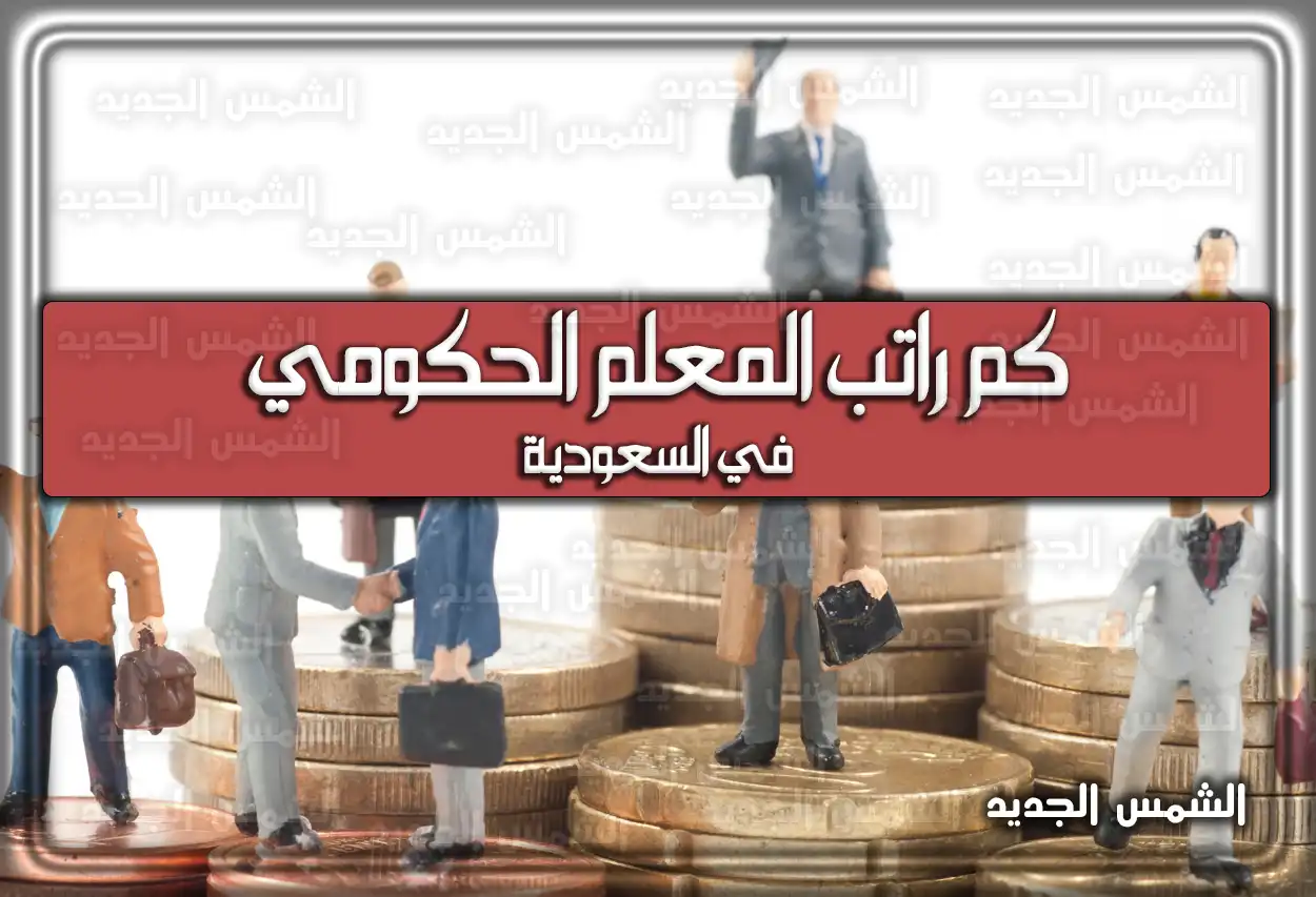 كم راتب المعلم الحكومي في السعودية .. تَعرف على متوسط الأجور والحد الأدنى والأعلى
