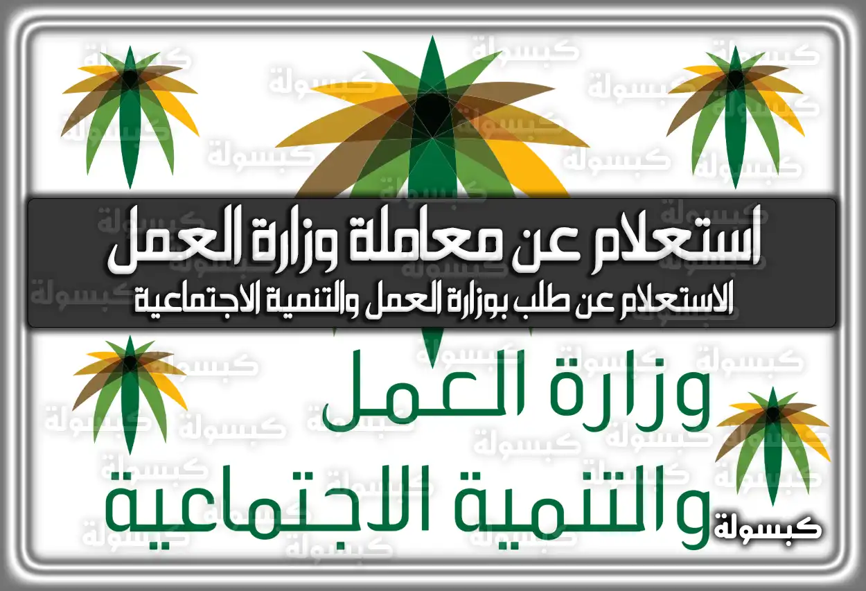 استعلام عن معاملة وزارة العمل والتنمية الاجتماعية