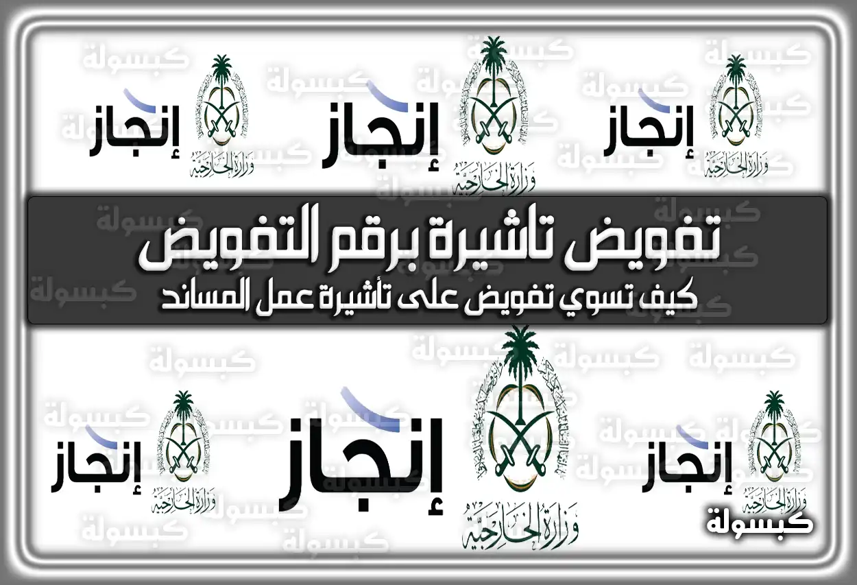 الاستعلام عن تفويض تاشيرة برقم التفويض