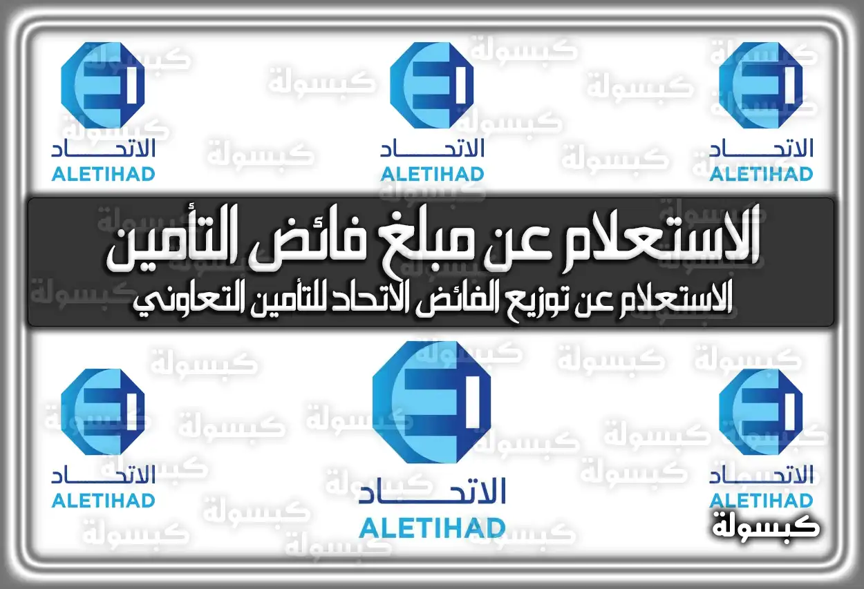 الاستعلام عن مبلغ فائض التأمين