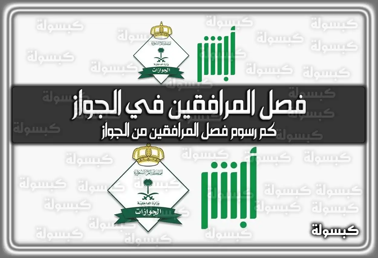 هُنا طريقة واجراءات فصل المرافقين في الجواز