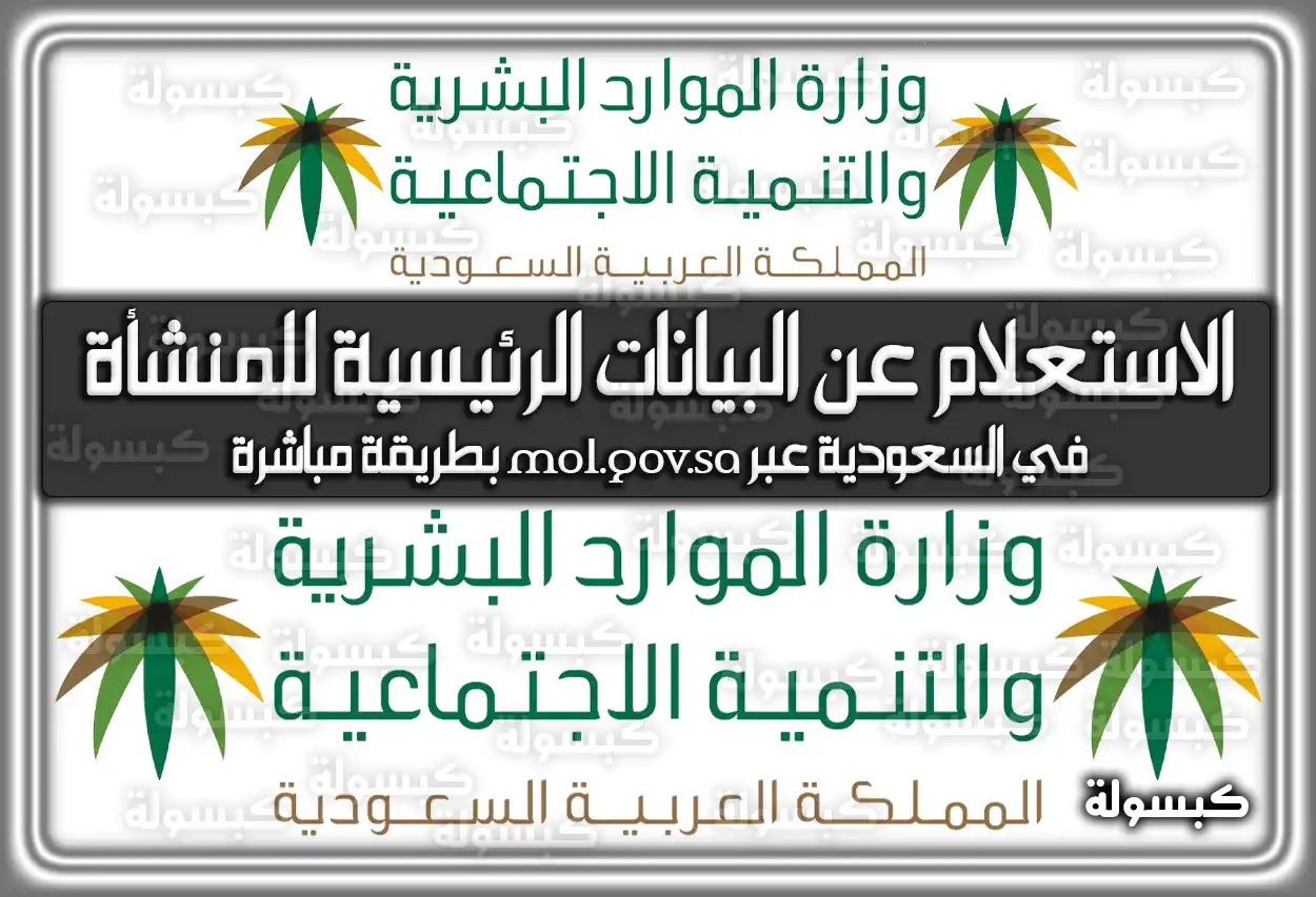 كيفية ورابط الاستعلام عن البيانات الرئيسية للمنشأة في السعودية عبر mol.gov.sa بطريقة مباشرة